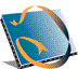 Donkey D Logo